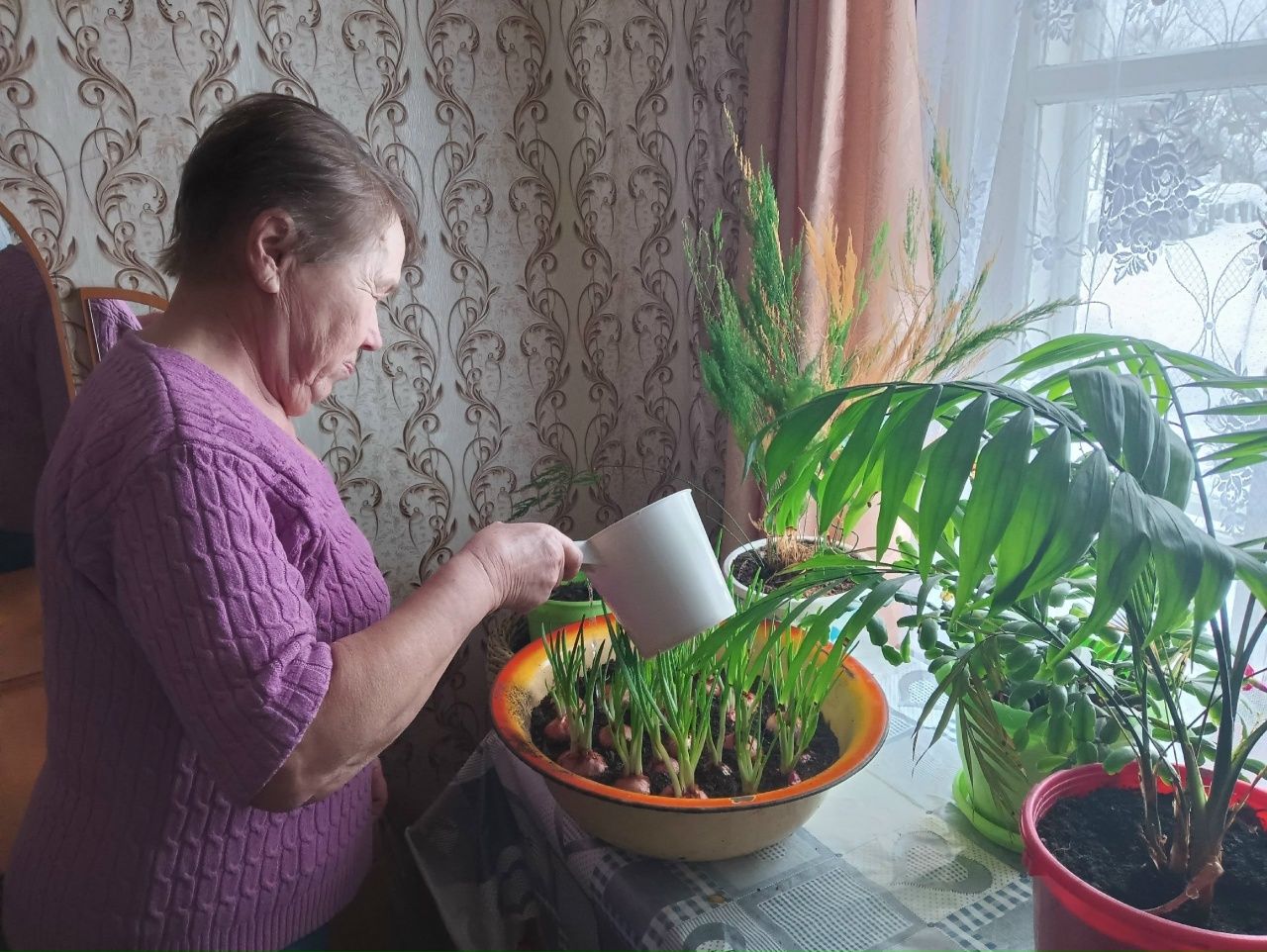 Для получателей социальных услуг на дому занятия по гарденотерапии – уникальная возможность для саморазвития и общения с миром живой природы.