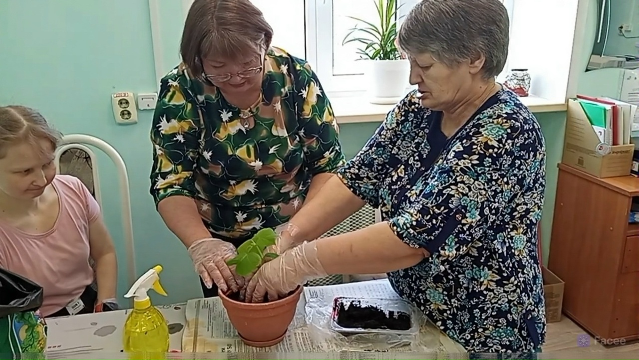 В социально-реабилитационной службе комплексного центра прошло занятие по гарденотерапии